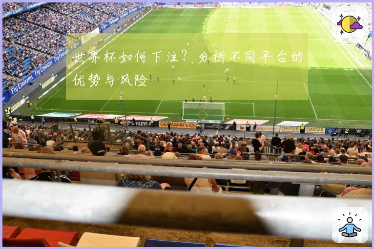 世界杯如何下注？分析不同平台的优势与风险