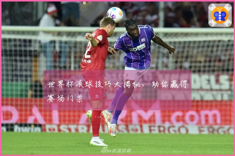 世界杯滚球技巧大揭秘，助你赢得赛场门票