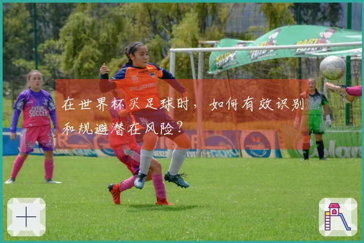 在世界杯买足球时，如何有效识别和规避潜在风险？