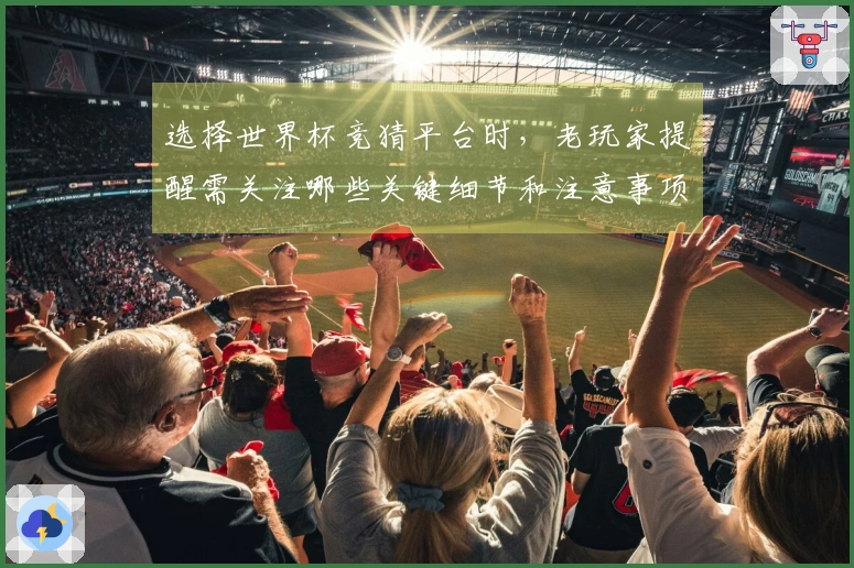 选择世界杯竞猜平台时，老玩家提醒需关注哪些关键细节和注意事项