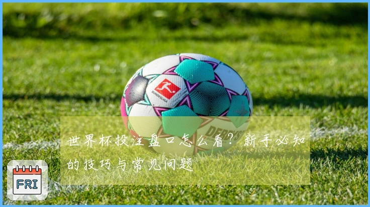 世界杯投注盘口怎么看?新手必知的技巧与常见问题