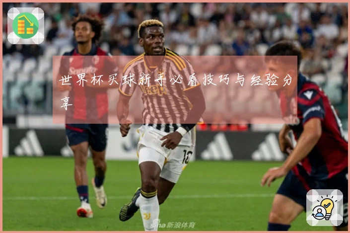 世界杯买球新手必看技巧与经验分享