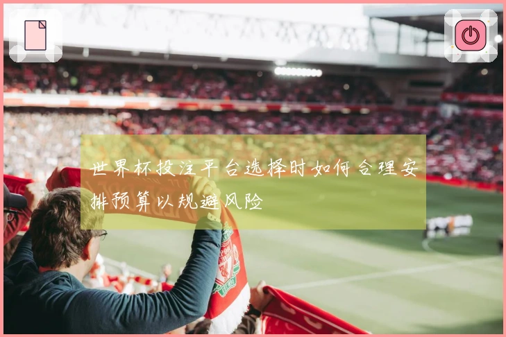 世界杯投注平台选择时如何合理安排预算以规避风险