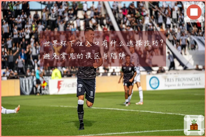 世界杯下注入口有什么选择技巧？避免常见的误区与陷阱