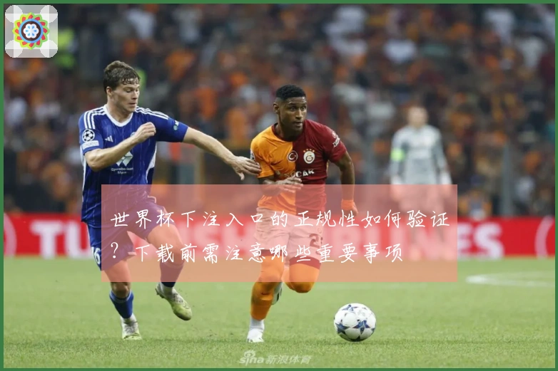 世界杯下注入口的正规性如何验证？下载前需注意哪些重要事项
