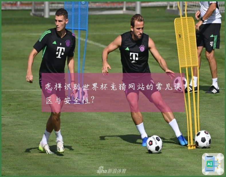 怎样识别世界杯竞猜网站的常见误区与安全性？
