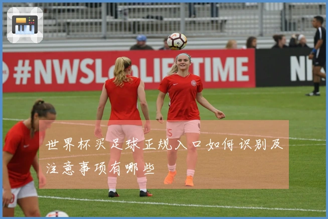 世界杯买足球正规入口如何识别及注意事项有哪些