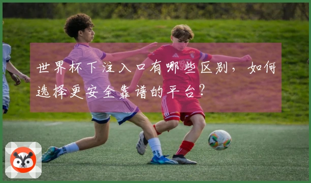 世界杯下注入口有哪些区别，如何选择更安全靠谱的平台？
