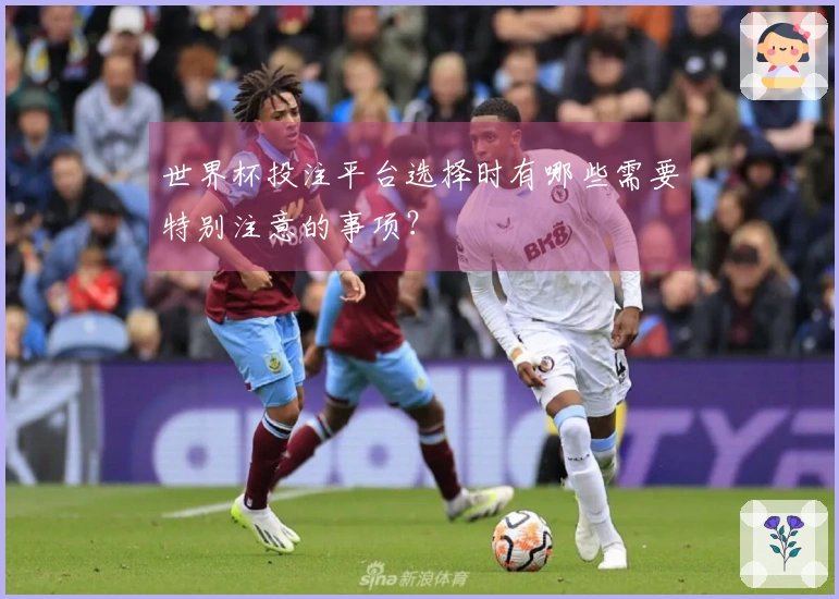 世界杯投注平台选择时有哪些需要特别注意的事项？