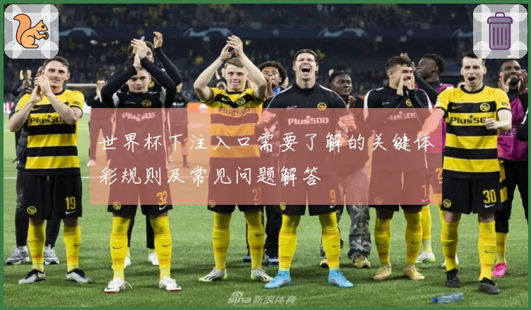 世界杯下注入口需要了解的关键体彩规则及常见问题解答