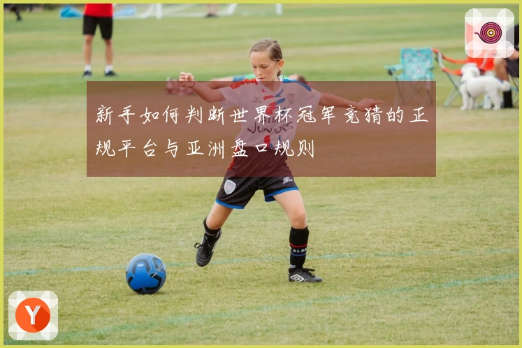 新手如何判断世界杯冠军竞猜的正规平台与亚洲盘口规则