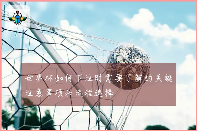 世界杯如何下注时需要了解的关键注意事项和流程选择