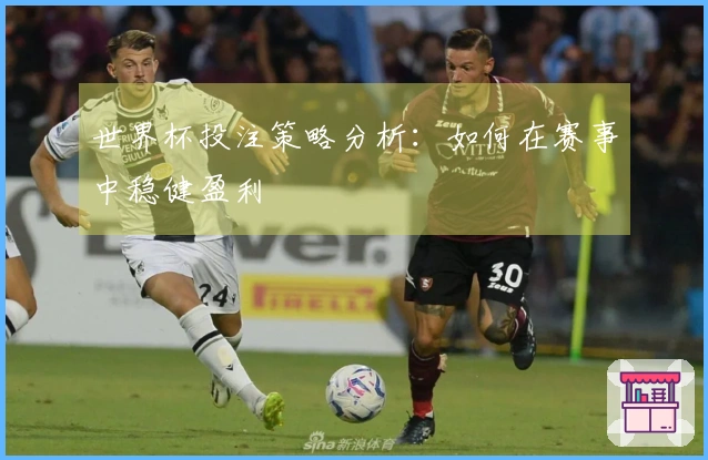 世界杯投注策略分析:如何在赛事中稳健盈利