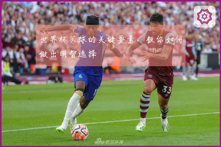 世界杯买球的关键要素，教你如何做出明智选择