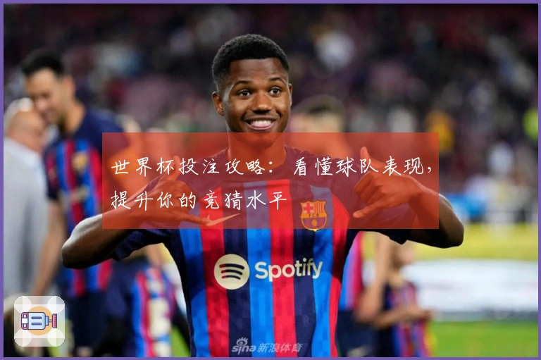 世界杯投注攻略：看懂球队表现，提升你的竞猜水平