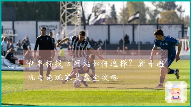 世界杯投注网站如何选择？新手避坑与老玩家复盘全攻略