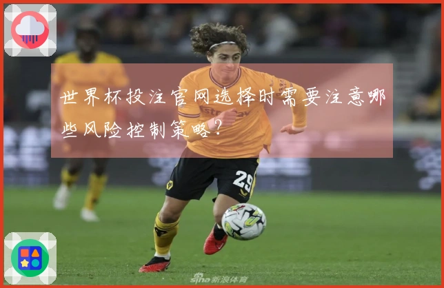 世界杯投注官网选择时需要注意哪些风险控制策略？
