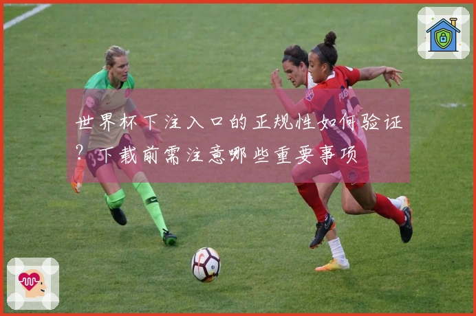 世界杯下注入口的正规性如何验证？下载前需注意哪些重要事项