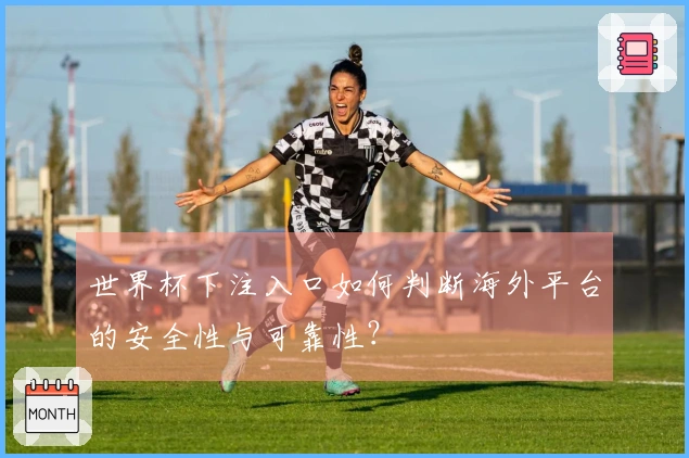 世界杯下注入口如何判断海外平台的安全性与可靠性？