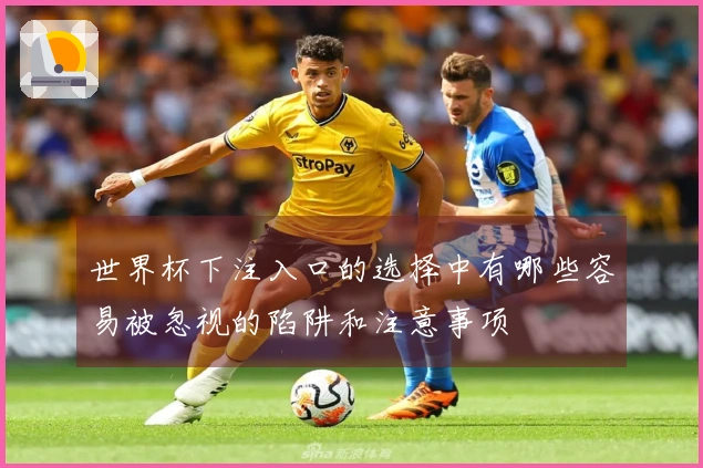 世界杯下注入口的选择中有哪些容易被忽视的陷阱和注意事项