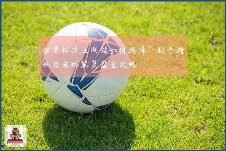 世界杯投注网站如何选择？新手避坑与老玩家复盘全攻略