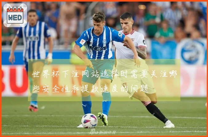 世界杯下注网站选择时需要关注哪些安全性和提款速度的问题