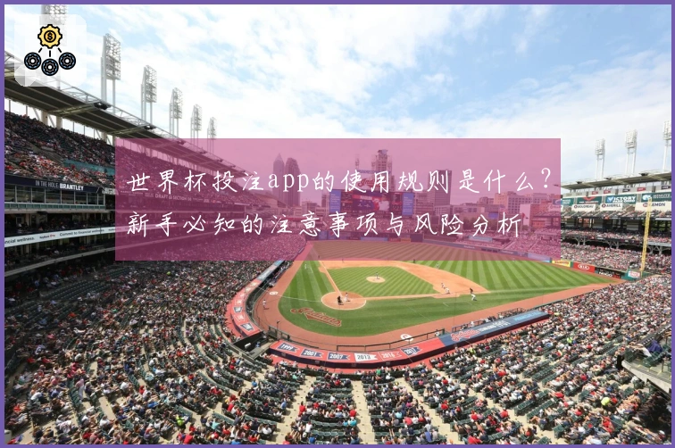 世界杯投注app的使用规则是什么？新手必知的注意事项与风险分析