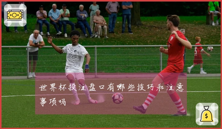 世界杯投注盘口有哪些技巧和注意事项吗
