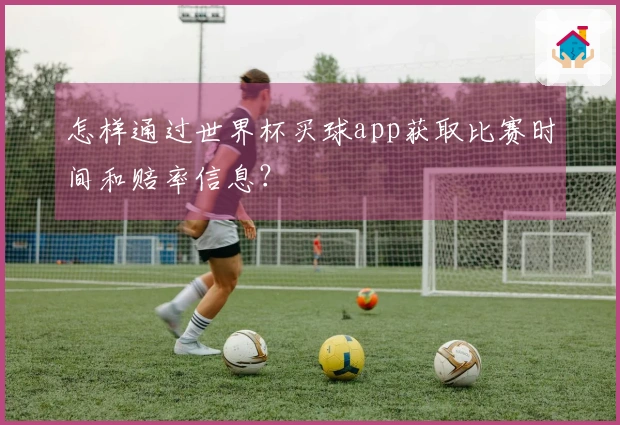 怎样通过世界杯买球app获取比赛时间和赔率信息？
