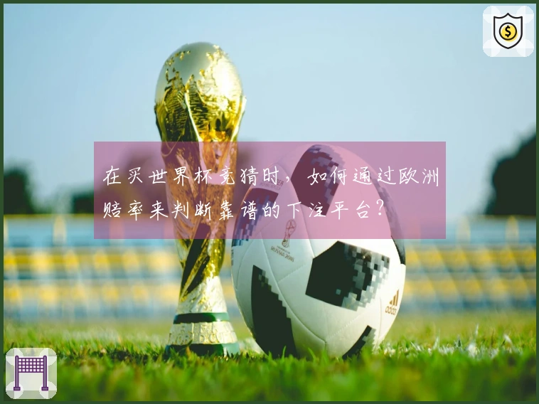 在买世界杯竞猜时，如何通过欧洲赔率来判断靠谱的下注平台？
