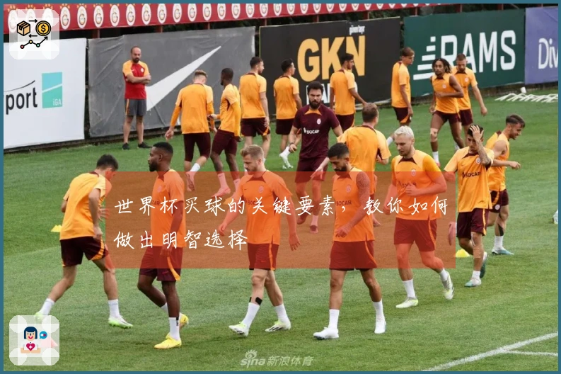 世界杯买球的关键要素，教你如何做出明智选择