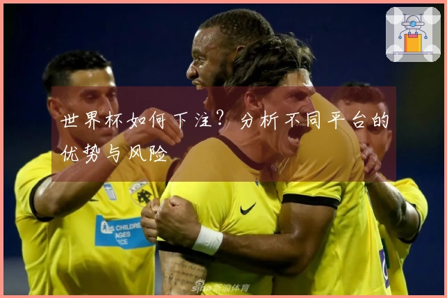 世界杯如何下注？分析不同平台的优势与风险