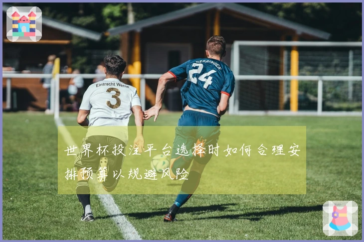 世界杯投注平台选择时如何合理安排预算以规避风险