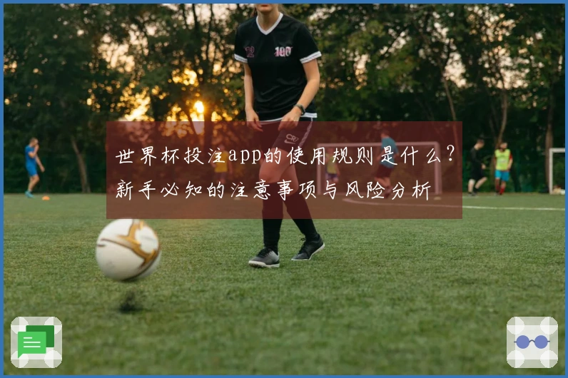 世界杯投注app的使用规则是什么？新手必知的注意事项与风险分析