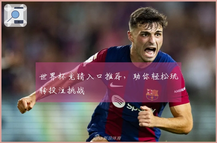 世界杯竞猜入口推荐，助你轻松玩转投注挑战