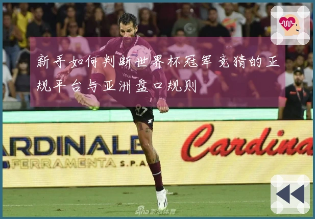 新手如何判断世界杯冠军竞猜的正规平台与亚洲盘口规则